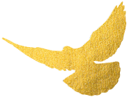 【堡壘行(xíng)動·标杆支部&lt;1&gt;】車(chē)間(jiān)支部怎麽抓？進來(lái)看(kàn)看(kàn)！