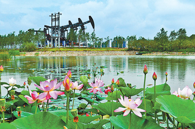 人(rén)民(mín)日(rì)報(bào):大(dà)慶為(wèi)何青春常在